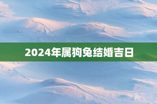 2025年属狗兔结婚吉日