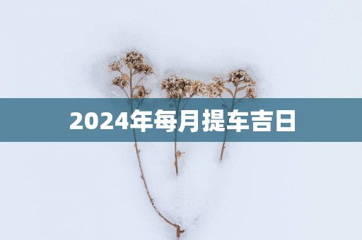 2025年每月提车吉日