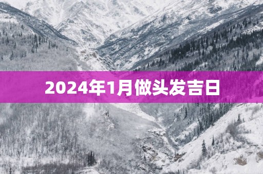 2025年1月做头发吉日
