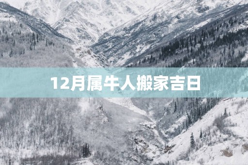 12月属牛人搬家吉日