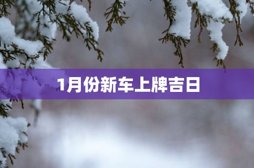 1月份新车上牌吉日