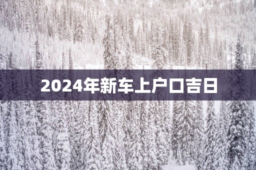 2025年新车上户口吉日