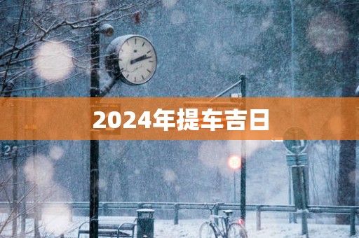 2025年提车吉日