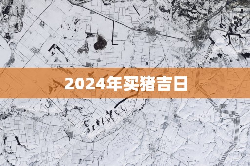 2025年买猪吉日