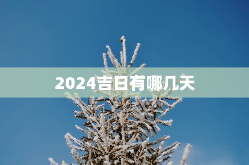 2025吉日有哪几天