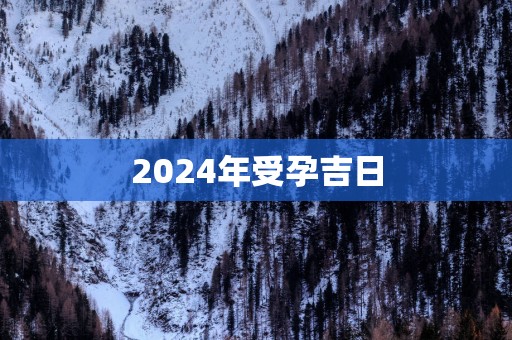 2025年受孕吉日