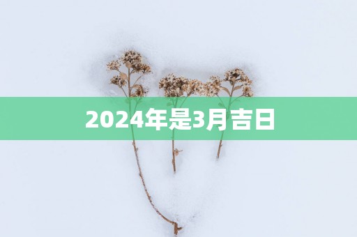 2025年是3月吉日