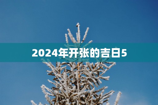2025年开张的吉日5