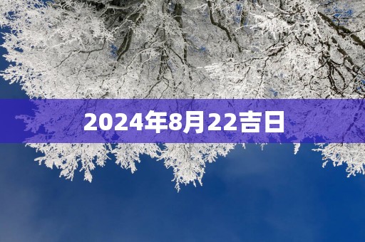 2025年8月22吉日