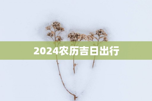2025农历吉日出行