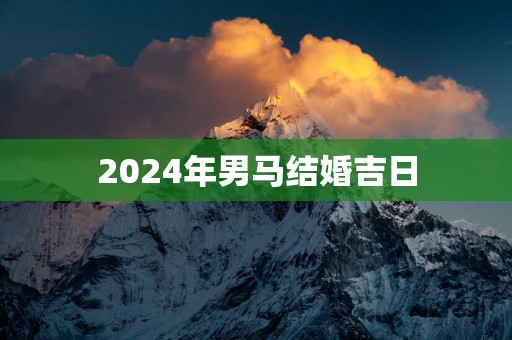 2025年男马结婚吉日