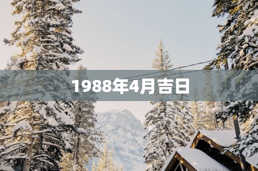1988年4月吉日