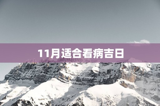 11月适合看病吉日