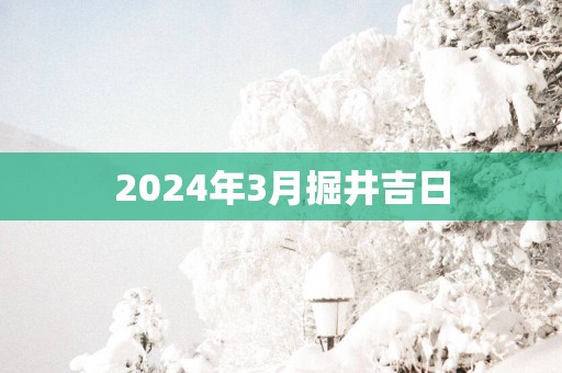 2025年3月掘井吉日
