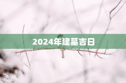 2025年建墓吉日