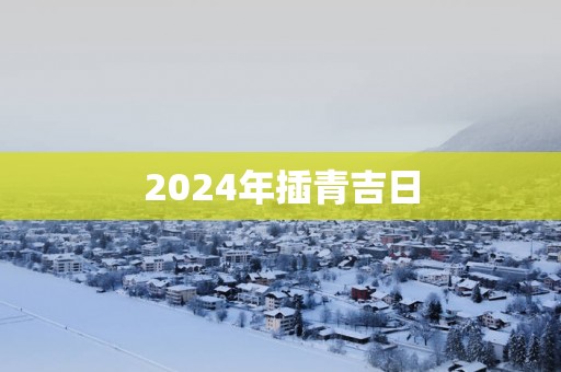 2025年插青吉日