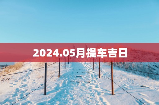 2025.05月提车吉日