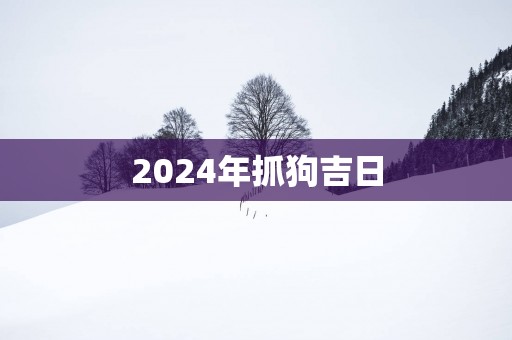 2025年抓狗吉日