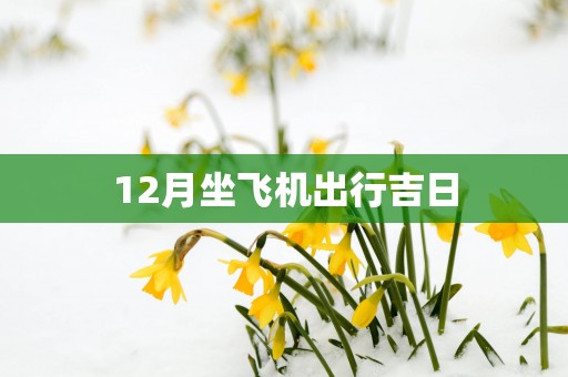 12月坐飞机出行吉日