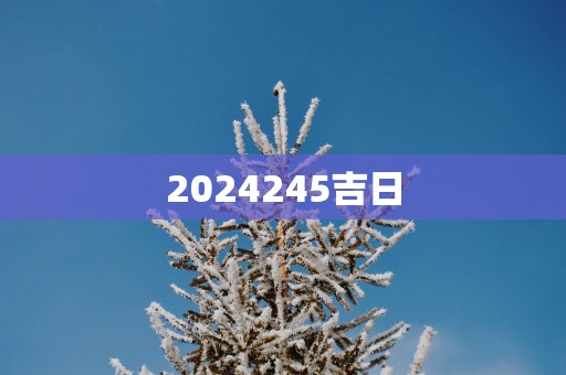 2025245吉日