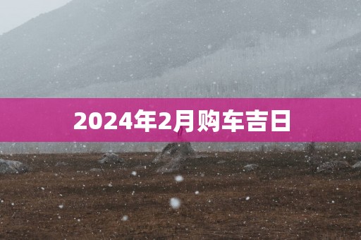 2025年2月购车吉日