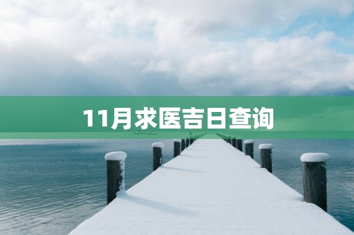 11月求医吉日查询