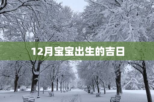 12月宝宝出生的吉日