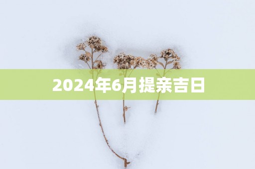 2025年6月提亲吉日