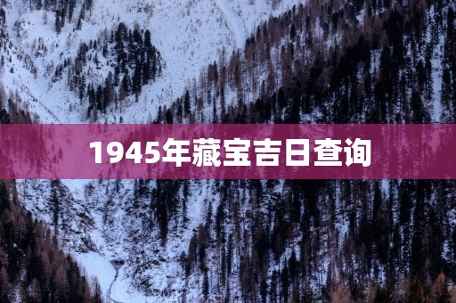 1945年藏宝吉日查询