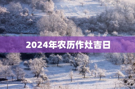 2025年农历作灶吉日