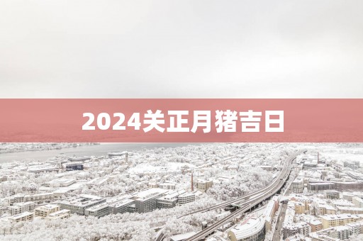 2025关正月猪吉日