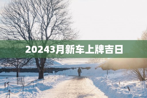 20253月新车上牌吉日