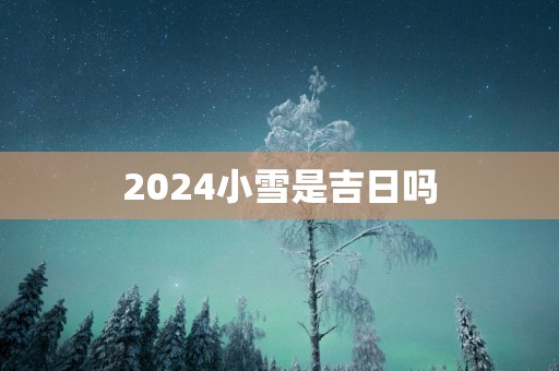 2025小雪是吉日吗