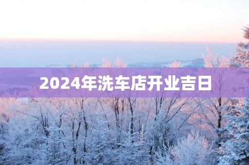 2025年洗车店开业吉日