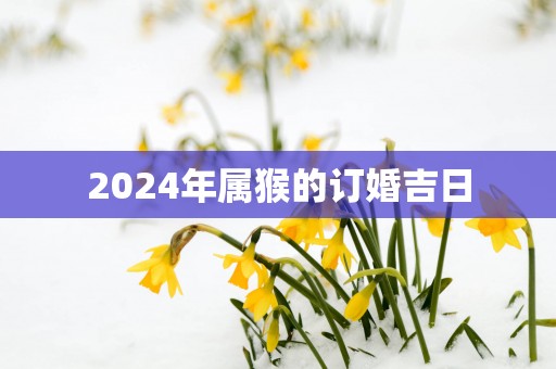 2025年属猴的订婚吉日