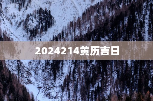 2025214黄历吉日