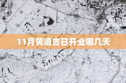 11月黄道吉日开业哪几天
