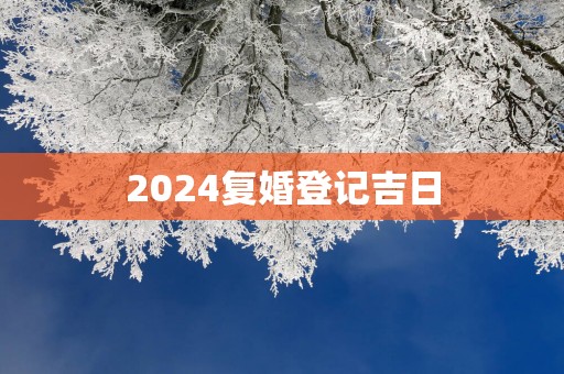 2025复婚登记吉日