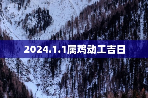 2025.1.1属鸡动工吉日
