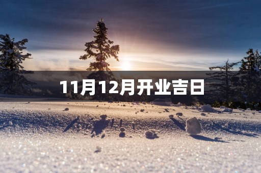 11月12月开业吉日