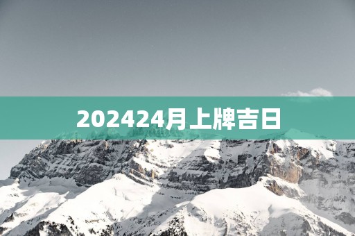 202524月上牌吉日