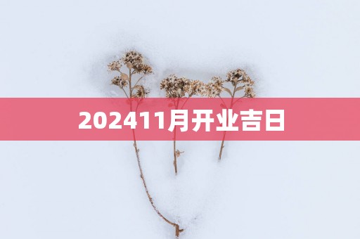202511月开业吉日
