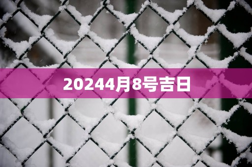 20254月8号吉日