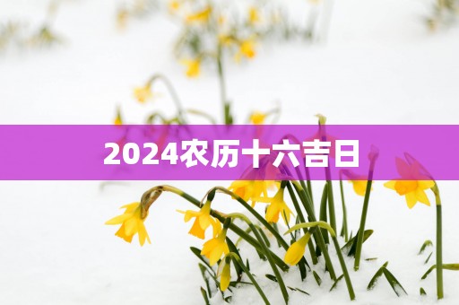 2025农历十六吉日