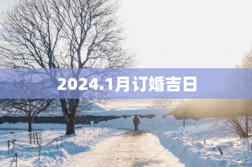 2025.1月订婚吉日