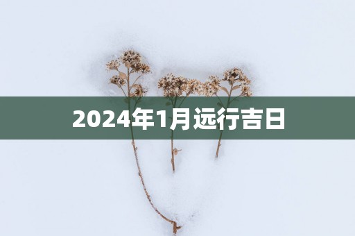 2025年1月远行吉日