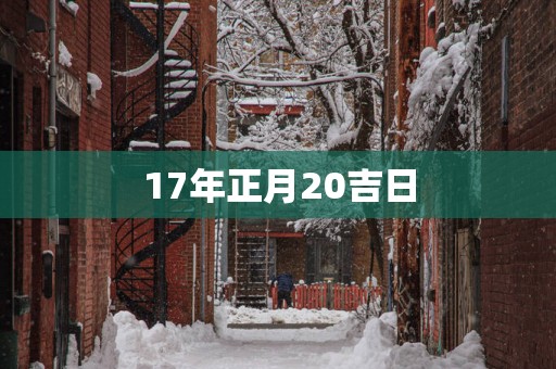 17年正月20吉日