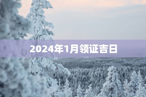 2025年1月领证吉日