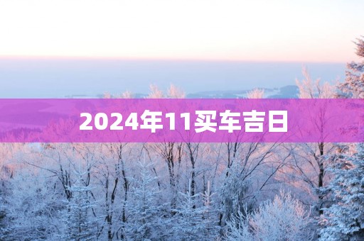 2025年11买车吉日