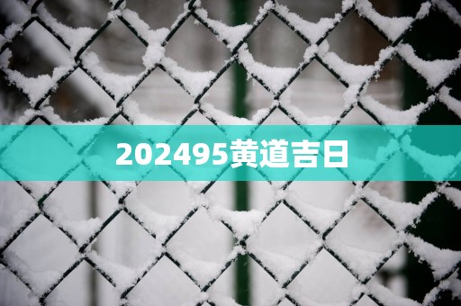 202595黄道吉日